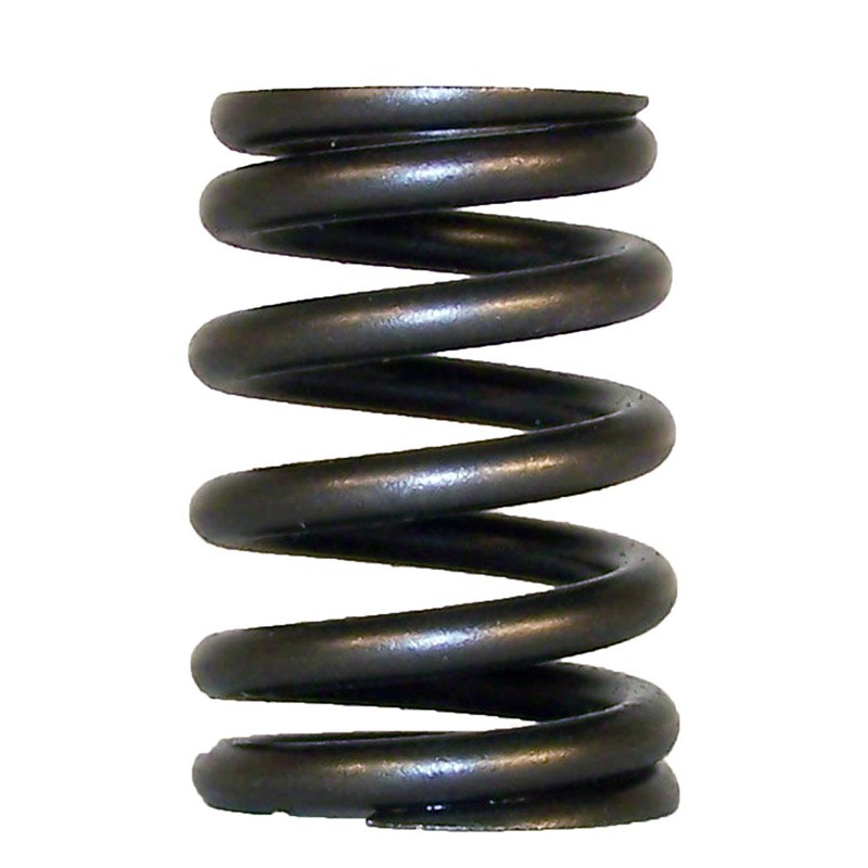 Valve Spring