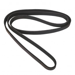 Serpentine Belt, 3.8L,...