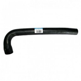 Radiator Hose...