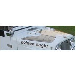 Decals Golden Eagle