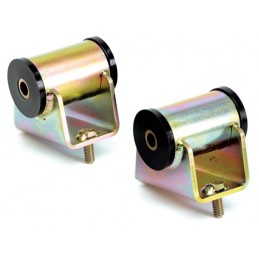 Mount Engine Polyurethane...